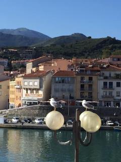 Loft du soleil, 1ère ligne, proche des criques et de Collioure - 6