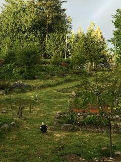Cozy ,artistic cottage in a garden setting close to the beach and hiking trails. - Powell River - 8