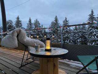 Mélèze B *** plein Sud - Chamrousse - 9