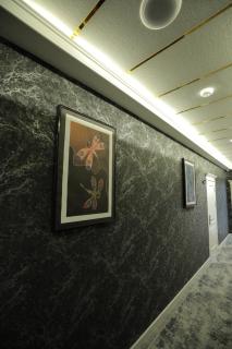 MaxWell Hotel & SPA - Tashkent - 4