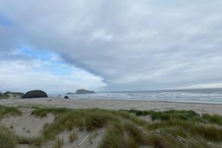 Ocean Song - Bandon - 6