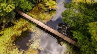 Maquenque Lodge - Boca Tapada - 2