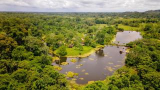 Maquenque Lodge - Boca Tapada - 1