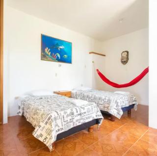 Galapagos Verde Azul - 7