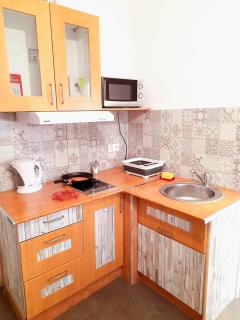 Mexico one bedroom apartment with patio and garden - 3