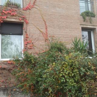 Casa VINCENZO 130 mq con portico ed ingresso esclusivo dal giardino - Felino - 1