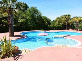 Chalet climatisé avec piscine chauffée et parking dans une pinède calme - FR-1-607-64 - Agde - 6