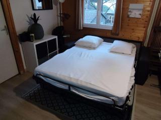 Chalet climatisé avec piscine chauffée et parking dans une pinède calme - FR-1-607-64 - Agde - 2
