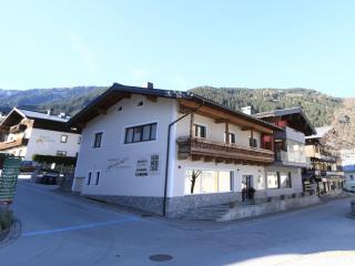 Apartment for allergy sufferers near the waterfall - Krimml - 0