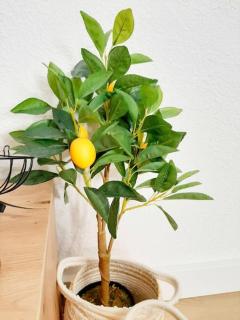 LE BILBAO, T2, centre-parking gratuit-terrasse - 2