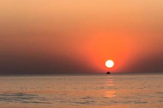 Kedige Homestay - Kumta - 1
