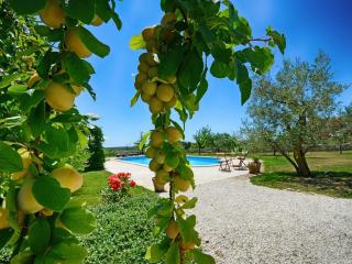 Villa Benka, Istrian stone house - Tinjan - 7