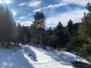 Le cocon des écureuils - Font-Romeu-Odeillo-Via - 7