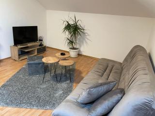 Despot apartmani - Mladenovac - 8
