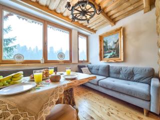 VisitZakopane - Waterfall SPA Apartment - Kościelisko - 9