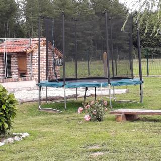 Gîte les petits loups - Thoury - 3