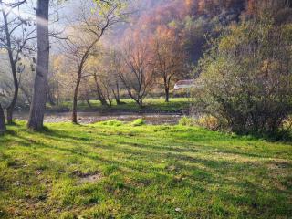 Căsuțe Zăvoi Bulz - 3