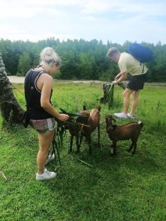 YaoIsland Resort and Farm - 5