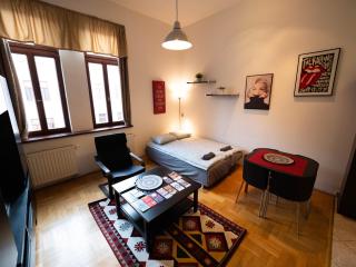 Cozy Central Apt with Garage at GOZSDU Passage - 5