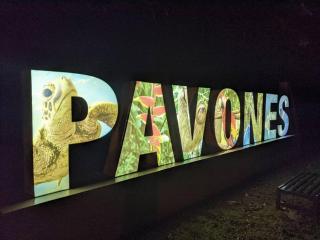 Comfortable Casita, walking distance to the Beach - Pavones - 4