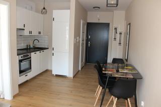 Apartament Bielskie Góry - Bielsko-Biała - 9