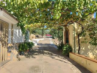 Casa el Pino - Cortes de la Frontera - 5