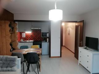 Superbe studio 4 pers au Grand-Bornand avec balcon, navette proche - FR-1-241-245 - Le Grand-Bornand - 4