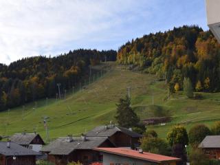 Appartement au centre avec balcon, parking et forfaits ski avantageux - FR-1-524-110 - 3