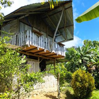 La Muñequita Lodge 1 - culture & nature experience - Palmar Norte - 0
