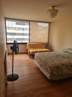 Apart Magallanes - Santiago - 9
