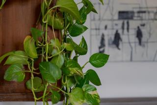 Casa D'artista - charming apartment + Parking - Turim - 1