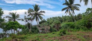 Tehan Homestay - Hiriketiya - 5