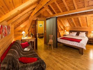 Chalet cosy 6 pers avec SPA, terrasse sud, proche station ski, animaux admis - FR-1-393-16 - 9