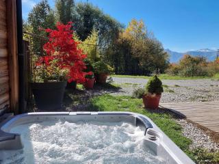 Chalet cosy 6 pers avec SPA, terrasse sud, proche station ski, animaux admis - FR-1-393-16 - 3