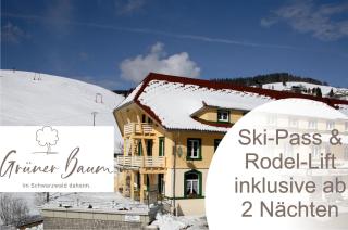 Grüner Baum Naturparkhotel & Schwarzwald-Restaurant - 9