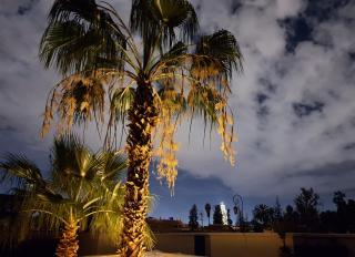 Dar Al Kounouz - Marrakesh - 5