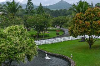 Swiss Valley Hip Resort - Suan Phueng - 8