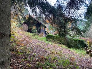 Le Paradis de Verdure - Natzwiller - 3