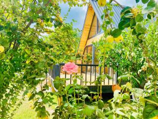 Garden Bungalow - 8