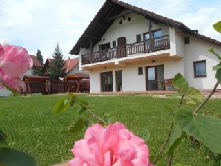 Casa Rudi & Ella - Sălişte - 3