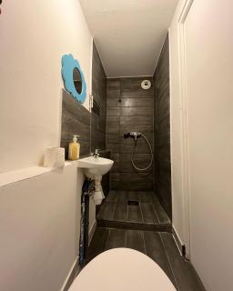 Grand studio pour 1 ou 2 personnes - Schiltigheim - 1