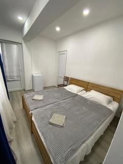 Sanigi-cozy apartment - Tbilisi - 6