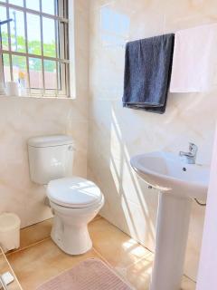 Ranzi Court - Palapye - 3