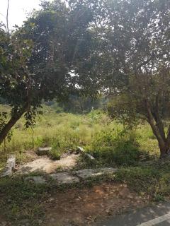 Anuraag - Bangalore - 4