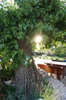 Farmhouse Cubani - 4