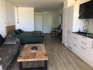 Charmant studio avec vue mer, terrasse Anse-Marcel - 3