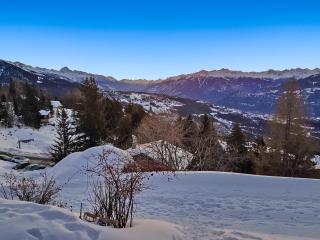 Tiny House facing the Alps - Ski in, Ski out - 9