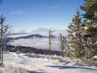 Wiesenquartier I Chalet I Adults only - 1