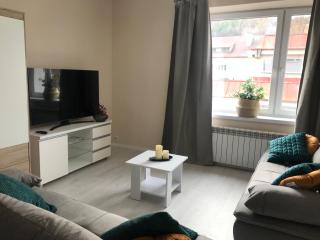 Apartament Vistula Centrum 4 - 2