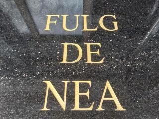 FULG De NEA - Sinaia - 9